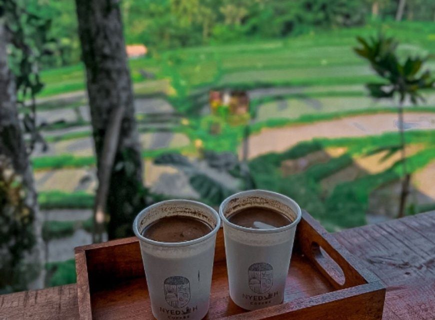 Café Sawah: Menikmati Kopi Sambil Menyatu Dengan Alam