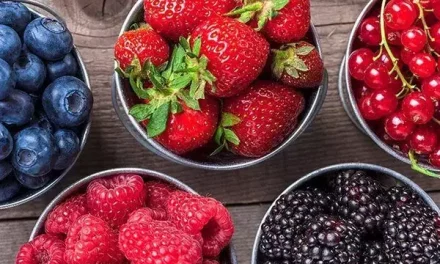 Mengungkap Khasiat Buah Beri Untuk Menjaga Kesehatan Mata