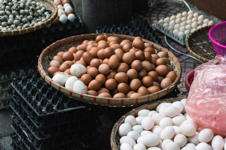 Peran Penting Telur Ayam Dalam Mencegah Stunting Pada Balita
