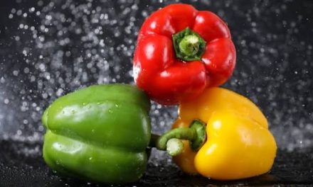 Cocok Untuk Diet! Paprika Rendah Kalori Tapi Penuh Nutrisi