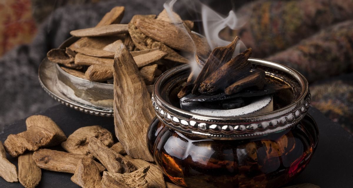 Dari Kayu Jadi Parfum Mewah, Ini Keistimewaan Aroma Cendana