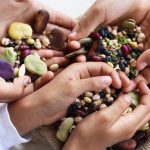 Camilan Sehat! Kacang – Kancangan Kaya Protein Serta Serat