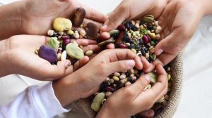 Camilan Sehat! Kacang - Kancangan Kaya Protein Serta Serat