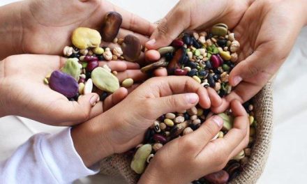 Camilan Sehat! Kacang – Kancangan Kaya Protein Serta Serat