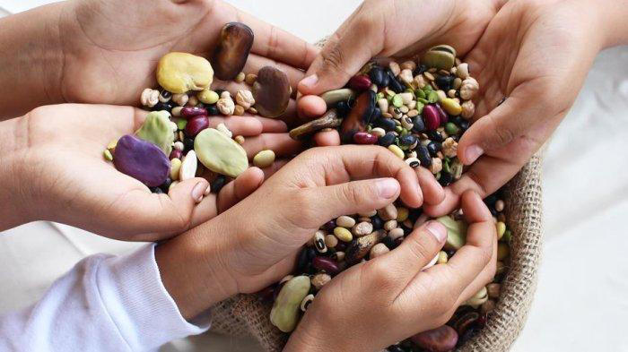 Camilan Sehat! Kacang – Kancangan Kaya Protein Serta Serat